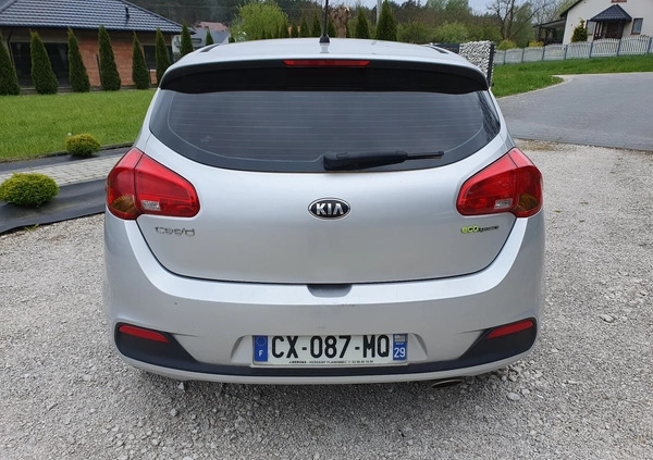 Kia Ceed cena 24900 przebieg: 144000, rok produkcji 2013 z Staszów małe 106